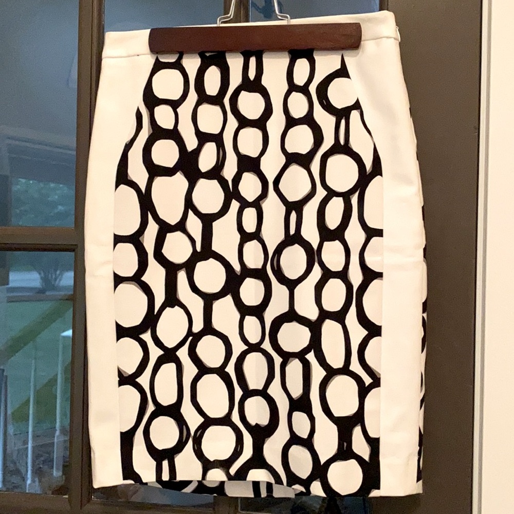 The Limited size 0 skirt.